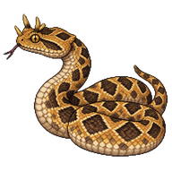 Many-horned Adder
