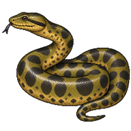 Yellow Anaconda