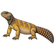 Sudan Mastigure