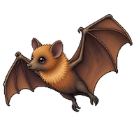 Large Flying Fox Pup