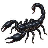 Asian Forest Scorpion