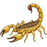 Arabian Scorpion