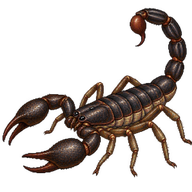 Trieste Scorpion