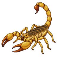 Chinese Golden Scorpion