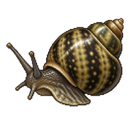 Marsh Periwinkle
