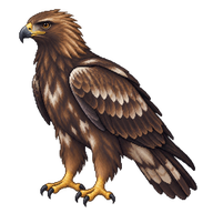 Golden Eagle Fledgling