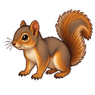 Eastern Fox Squirrel Kit