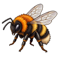 Moss Carder Bee