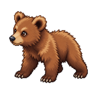 Brown Bear Cub