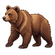 Brown Bear Subadult