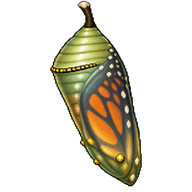Plain Tiger Chrysalis