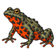 European Fire-bellied Toad
