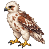 Ferruginous Hawk Hatchling