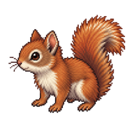 American Red Squirrel Kit
