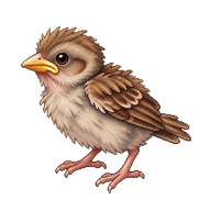 House Sparrow Hatchling