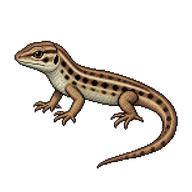 Sand Lizard Juvenile