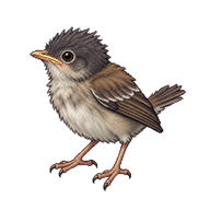 Sardinian Warbler Hatchling