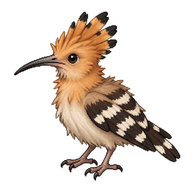 Eurasian Hoopoe Hatchling