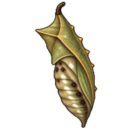 Speckled Wood Chrysalis
