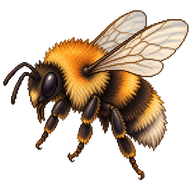 Common Carder Bee
