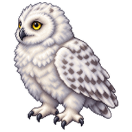 Snowy Owl Owlet