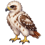 Red-tailed Hawk Hatchling