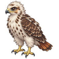 Red-tailed Hawk Nestling