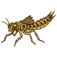Wandering Glider Nymph