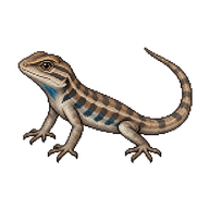 Western Fence Lizard Hatchling