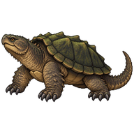 Common Snapping Turtle