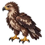 Bald Eagle Eaglet