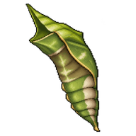Common Mormon Chrysalis