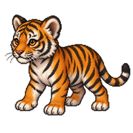 Tiger Cub