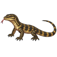 Nile Monitor Hatchling