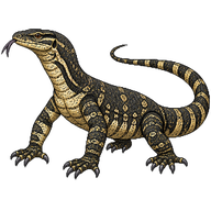 Lace Monitor