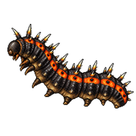 Red Admiral Caterpillar
