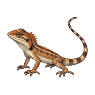 Oriental Garden Lizard Hatchling