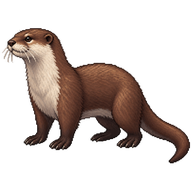 Eurasian Otter