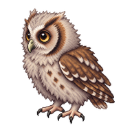 Collared Scops Owl Hatchling