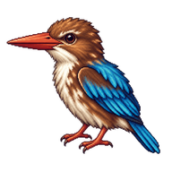 White-throated Kingfisher Fledgling