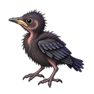 Common Grackle Hatchling