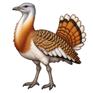 Great Bustard