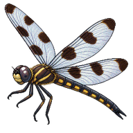 Twelve-spotted Skimmer