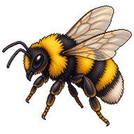 Common Eastern Bumble Bee