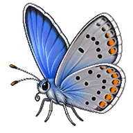 Eastern Tailed-Blue