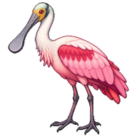 Roseate Spoonbill