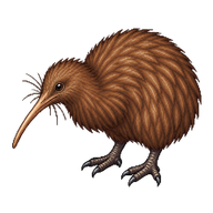 North Island Brown Kiwi