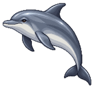 Common Bottlenose Dolphin