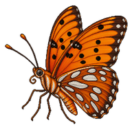 Gulf Fritillary