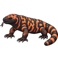 Gila Monster